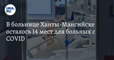 В больнице Ханты-Мансийске осталось 14 мест для больных с COVID - ura.news - Ханты-Мансийск - Сургут - Югра