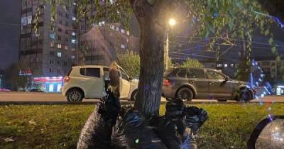 В Красноярске водитель «Кайенна» решил самоутвердиться за счет женщины и спровоцировал столкновение - skuke.net - Красноярск - Интересно