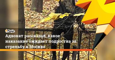 Адвокат рассказал, какое наказание ожидает подростка за стрельбу в Москве - ridus.ru - Москва - Россия