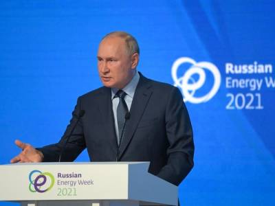 Владимир Путин - Путин: В Афганистан стягиваются террористы из Ирака и Сирии, которые могут попытаться дестабилизировать ситуацию в странах СНГ - rosbalt.ru - Россия - Сирия - Ирак - Афганистан
