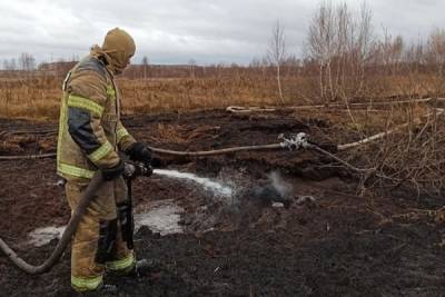 11 природных пожаров действуют в Свердловской области - eburg.mk.ru - Екатеринбург - Свердловская обл. - населенный пункт Угрозы - Невьянск - Каменск