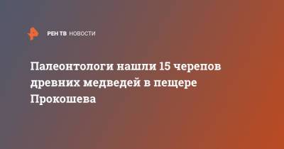 Палеонтологи нашли 15 черепов древних медведей в пещере Прокошева - ren.tv - Россия - Пермский край