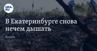 В Екатеринбурге снова нечем дышать. Видео - ura.news - Екатеринбург - Свердловская обл.