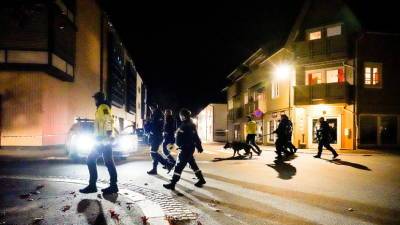 Эрна Сульберг - Число жертв нападения вооружённого мужчины в Норвегии достигло пяти - russian.rt.com - Норвегия