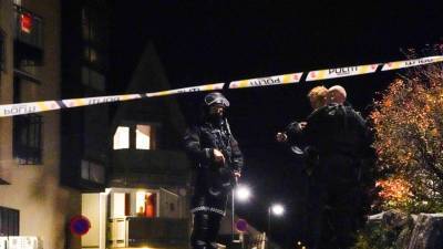 Андерс Брейвик - В Норвегии мужчина, вооруженный луком и стрелами, убил пять человек - golos-ameriki.ru - Норвегия