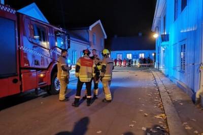 Неизвестный застрелил из лука пять человек и ранил полицейского - lenta.ru - Норвегия