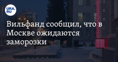 Роман Вильфанд - Вильфанд сообщил, что в Москве ожидаются заморозки - ura.news - Москва - Россия - ЦФО
