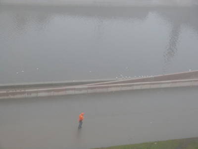 В Петербурге ожидается туман - neva.today - Санкт-Петербург
