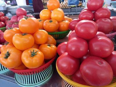 Белая сердцевина у помидоров: что за напасть и как бороться - skuke.net