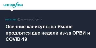 Осенние каникулы на Ямале продлятся две недели из-за ОРВИ и COVID-19 - interfax.ru - Москва - Россия - Севастополь - окр. Янао