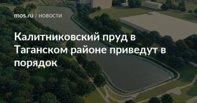 Калитниковский пруд в Таганском районе приведут в порядок - mos.ru - Москва - Благоустройство