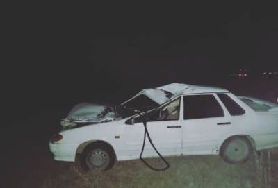 В Башкирии легковушка сбила лошадь: водитель погиб на месте - bash.news - Башкирия - район Учалинский
