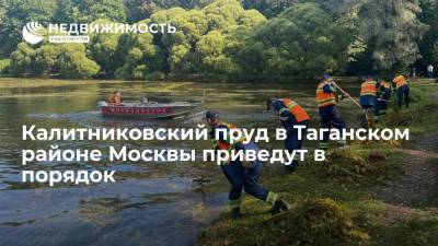 Комплекс городского хозяйства Москвы: Калитниковский пруд в Таганском районе приведут в порядок - realty.ria.ru - Москва - Благоустройство