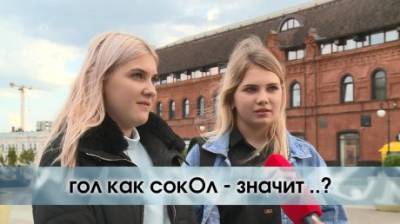 «Гол как сокол» - что это значит? - penzainform.ru