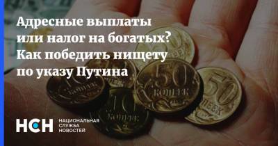 Владимир Путин - Адресные выплаты или налог на богатых? Как победить нищету по указу Путина - nsn.fm - Россия