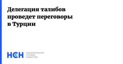 Делегация талибов проведет переговоры в Турции - nsn.fm - Россия - Турция - Анкара - Афганистан - Талибан