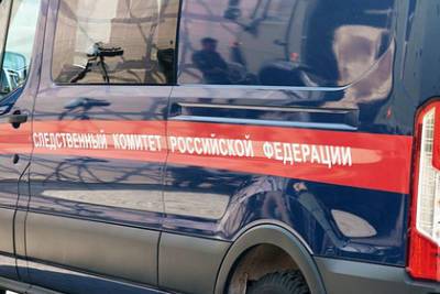 В лесу под Рязанью нашли тело пропавшего 15-летнего подростка - lenta.ru - Россия - Рязань - район Рязанский