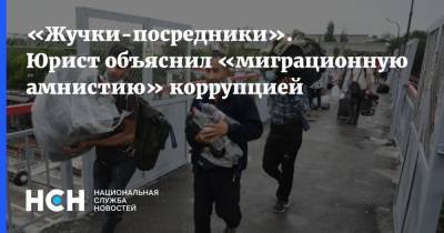 Иван Соловьев - «Жучки-посредники». Юрист объяснил «миграционную амнистию» коррупцией - nsn.fm - Россия - Узбекистан