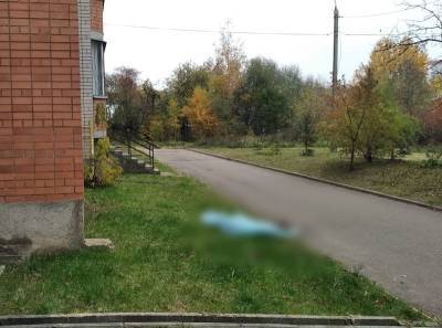 Выпавший из окна подросток погиб. СКР проводит проверку по факту трагедии в Смоленске - rabochy-put.ru - Россия - Смоленск