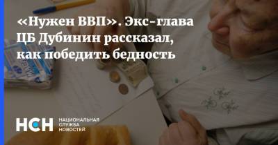 Владимир Путин - «Нужен ВВП». Экс-глава ЦБ Дубинин рассказал, как победить бедность - nsn.fm