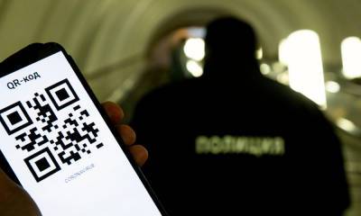 В Петрозаводске готовятся к системе QR-кодов: как попасть в кино, бассейн или кафе? - gubdaily.ru - Петрозаводск - республика Карелия