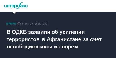 Анатолий Сидоров - В ОДКБ заявили об усилении террористов в Афганистане за счет освободившихся из тюрем - interfax.ru - Москва - Россия - Афганистан