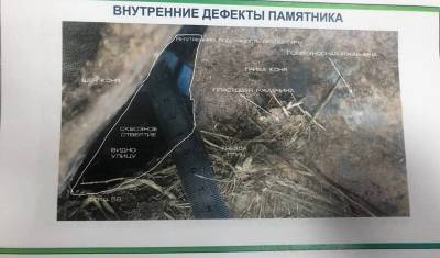 Азат Бадранов - Власти Башкирии заявили, что в памятнике Салавату Юлаеву птицы свили гнёзда - mkset.ru - Башкирия - Уфа