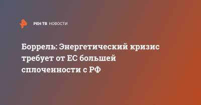 Жозеп Боррель - Боррель: Энергетический кризис требует от ЕС большей сплоченности с РФ - ren.tv - Россия