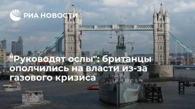 Владимир Путин - Читатели The Telegraph: у британских властей алчность на первом месте в ситуации с газом - ria.ru - Москва - Россия - Киев - Англия - Лондон