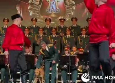 Собака поучаствовала в танце с саблями на концерте ансамбля им. Александрова в Турции - province.ru - Турция