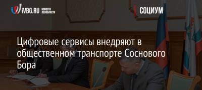 Михаил Присяжнюк - Цифровые сервисы внедряют в общественном транспорте Соснового Бора - ivbg.ru - Украина - Ленинградская обл. - Санкт-Петербург - городское поселение Сосновоборский