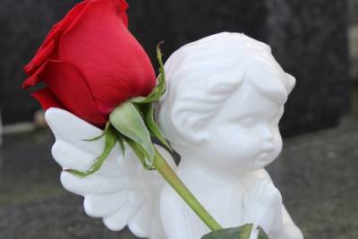 Упал с 9-го этажа: в Смоленске погиб 13-летний подросток, но при чем тут бизнес - mk-smolensk.ru - Смоленск