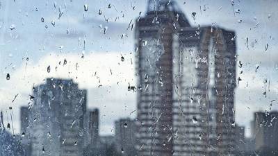 Леонид Старков - Метеоролог сообщил об ослаблении дождей в Москве к 15 октября - iz.ru - Москва - Израиль