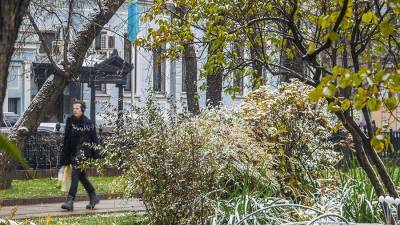 Евгений Тишковец - Метеоролог предупредил о возможном снеге в Москве на следующей неделе - iz.ru - Москва - Израиль