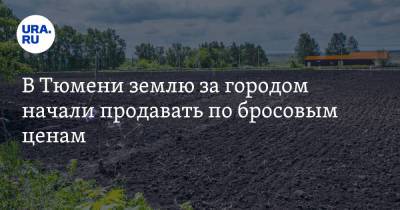 В Тюмени землю за городом начали продавать по бросовым ценам - ura.news - Тюмень