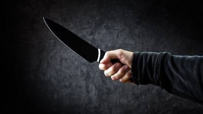 Подозреваемый в убийстве пасынка о деталях трагедии: «Пыталась вырезать оккультный символ на спине» - 5-tv.ru - Рязанская обл. - Рязань