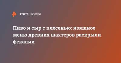 Пиво и сыр с плесенью: изящное меню древних шахтеров раскрыли фекалии - ren.tv - Австрия