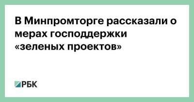 В Минпромторге рассказали о мерах господдержки «зеленых проектов» - smartmoney.one