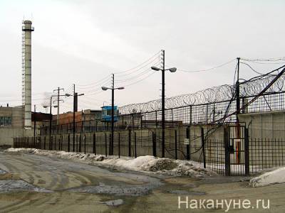 ФСИН запросила у правозащитников видеоархив с издевательствами над заключенными - nakanune.ru - Россия