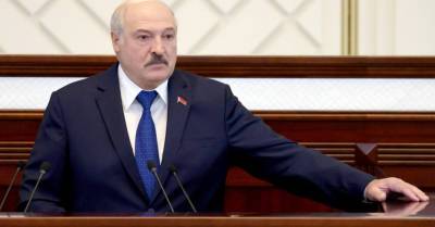 Александр Лукашенко - Беларусь больше не будет принимать граждан, нелегально попадавших в Евросоюз через ее территорию - rus.delfi.lv - Белоруссия - Латвия - Брюссель