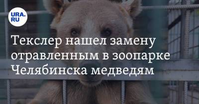 Алексей Текслер - Текслер нашел замену отравленным в зоопарке Челябинска медведям. Фото - ura.news - Челябинск - Экология