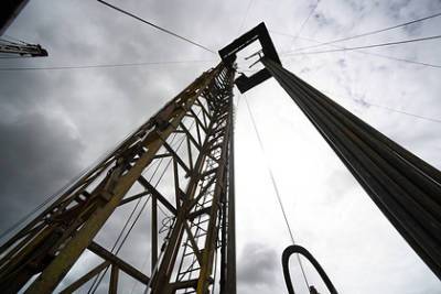 Имущество нефтяной компании решили продать через интернет - lenta.ru - Томская обл. - район Александровский