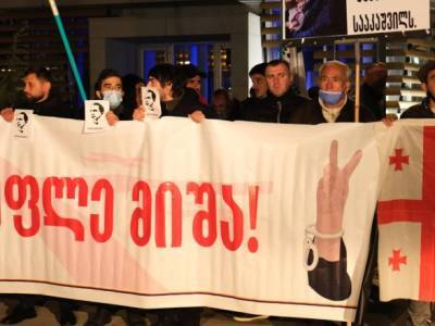 Михаил Саакашвили - Елизавета Ясько - В Тбилиси сегодня состоится акция за освобождение Саакашвили - unn.com.ua - Украина - Киев - Грузия - Тбилиси