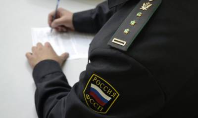 Госдума приняла в первом чтении законопроект, который защищает соцвыплаты от списаний в счет долга - og.ru - Россия