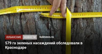 579 га зеленых насаждений обследовали в Краснодаре - kubnews.ru - Краснодарский край - Краснодар