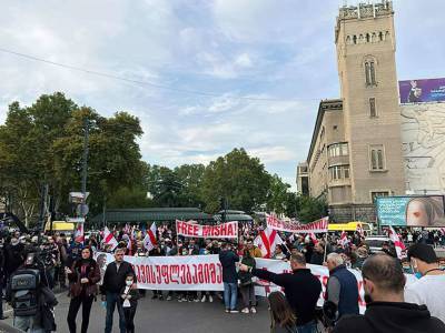 Михеила Саакашвили - Михеил Саакашвили - Ника Мелия - В Тбилиси сторонники Саакашвили проводят многотысячный митинг - lenta.ua - Украина - Грузия - Тбилиси