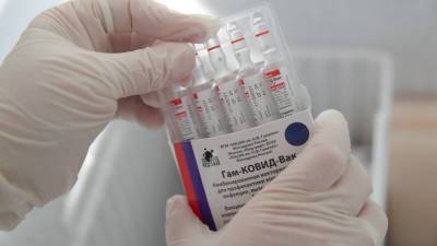 В Армению доставили 100 тысяч доз вакцины «Спутник V» - mir24.tv - Москва - Россия - Армения