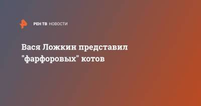 Вася Ложкин представил "фарфоровых" котов - ren.tv