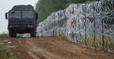 На границе Польши с Беларусью вновь обнаружили труп мигранта - rus.delfi.lv - Сирия - Белоруссия - Польша - Литва - Латвия