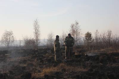 В Екатеринбурге — снова смог и запах гари. МЧС тушит торф круглосуточно - znak.com - Россия - Екатеринбург - Свердловская обл.